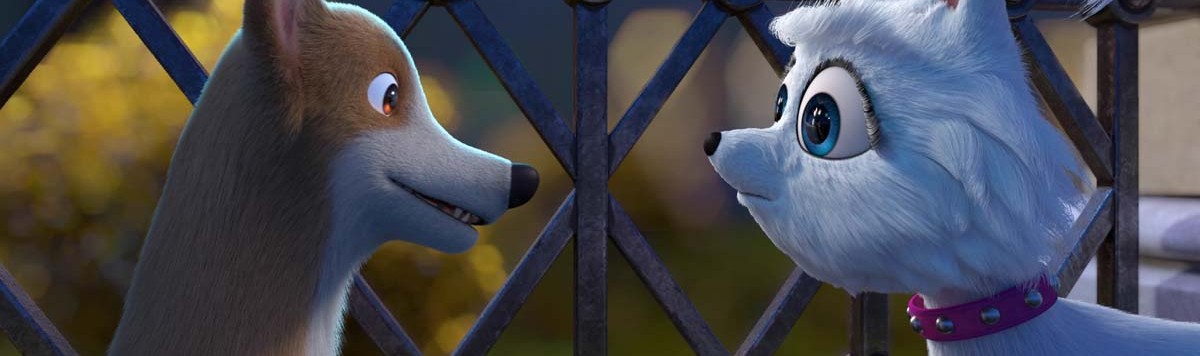 ΣΚΥΛΑΚΙΑ ΣΤΗΝ ΟΠΕΡΑ